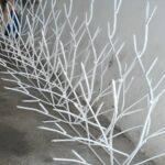 حفاظ شاخ گوزنی مدل مارال