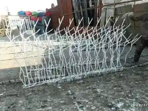 وزن حفاظ شاخ گوزنی