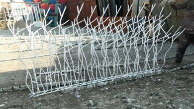 وزن حفاظ شاخ گوزنی