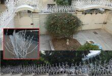 نکات ضروری برای جلوگیری از سرقت در خانه و محل کار