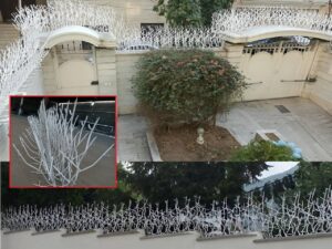 جلوگیری از سرقت در خانه و محل کار