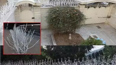 جلوگیری از سرقت در خانه و محل کار