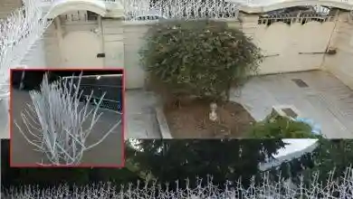 جلوگیری از سرقت در خانه و محل کار