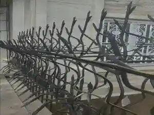 حفاظ شاخ گوزنی مدل اف