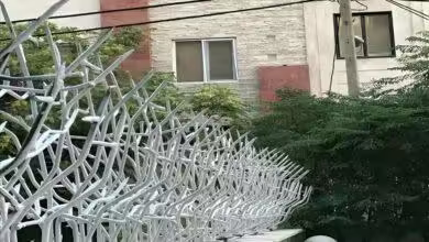 تفاوت حفاظ شاخ گوزنی و حفاظ بوته ای