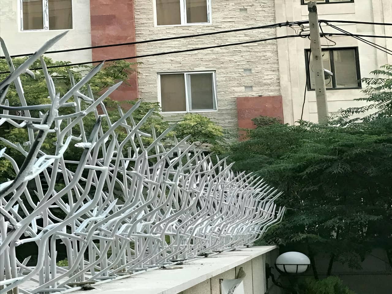 تفاوت حفاظ شاخ گوزنی و حفاظ بوته ای | دیجی صنعت تفاوت حفاظ شاخ گوزنی و حفاظ بوته ای