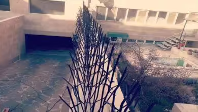 حفاظ سردیواری شاخگوزنی