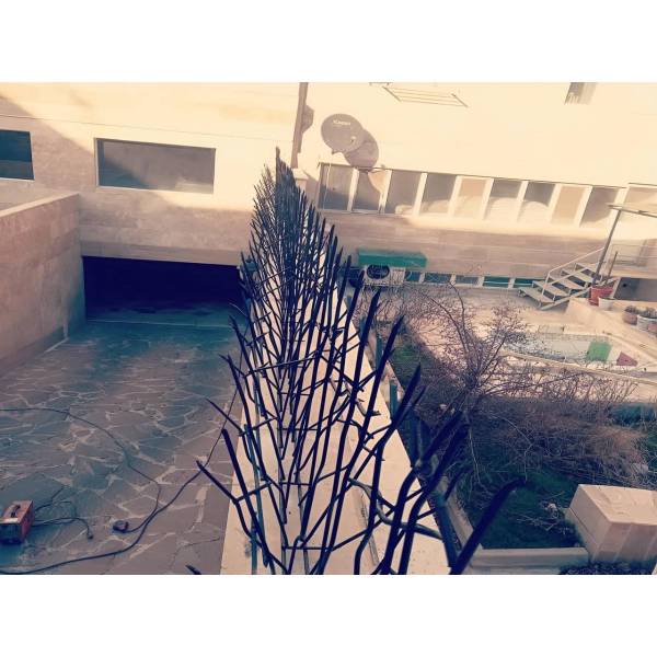 حفاظ سردیواری شاخگوزنی
