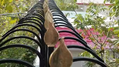 حفاظ آهنی در شیراز