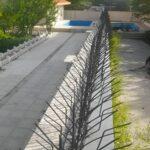 ارزش حفاظ شاخ گوزنی