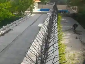 ارزش حفاظ شاخ گوزنی