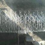 ویژگی‌های بهترین حفاظ شاخ گوزنی