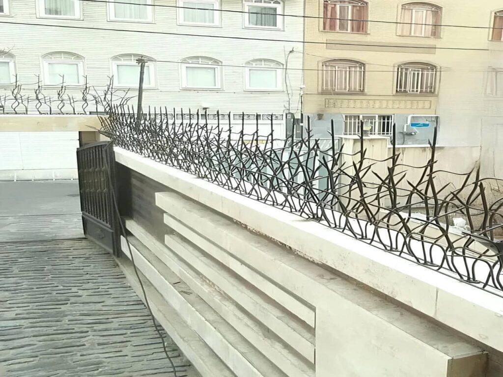 حفاظ شاخ گوزنی در معماری مدرن