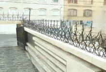حفاظ شاخ گوزنی در معماری مدرن
