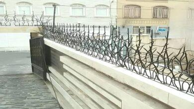 حفاظ شاخ گوزنی در معماری مدرن