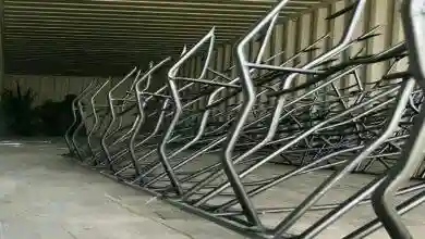 حفاظ شاخ گوزنی کرج