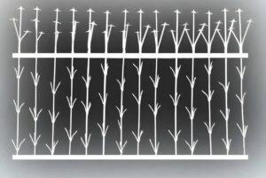 حفاظ شمشادی