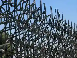 بزرگترین تولید کننده حفاظ شاخ گوزنی