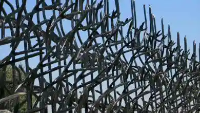 بزرگترین تولید کننده حفاظ شاخ گوزنی