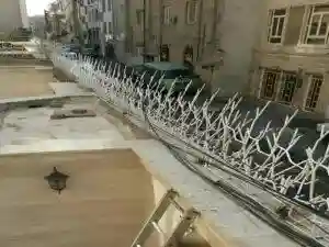 حفاظ نرده شاخ گوزنی دیواری