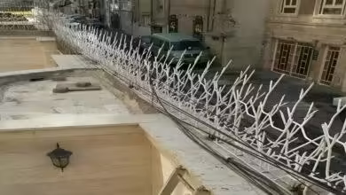 حفاظ نرده شاخ گوزنی دیواری