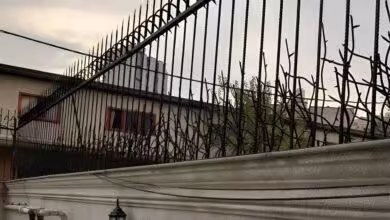 حفاظ آهنی در بزرگراه صدر