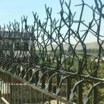 دزدگیر شاخ گوزنی