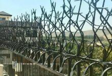 دزدگیر شاخ گوزنی
