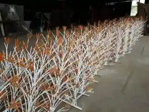 حفاظ آهنی در مرزداران