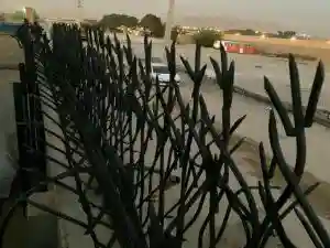 خرید و نصب حفاظ شاخ گوزنی