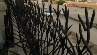 خرید و نصب حفاظ شاخ گوزنی