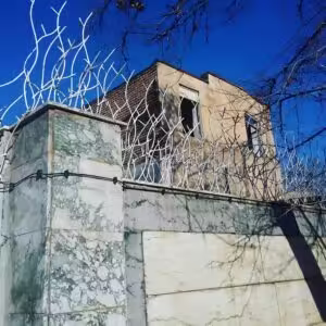 مشخصات فنی حفاظ شاخ گوزنی تراکم ۴۰