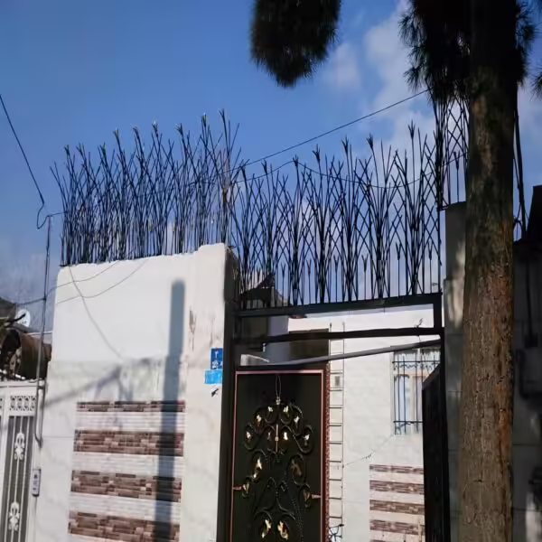 خرید حفاظ غنچه ای تهران