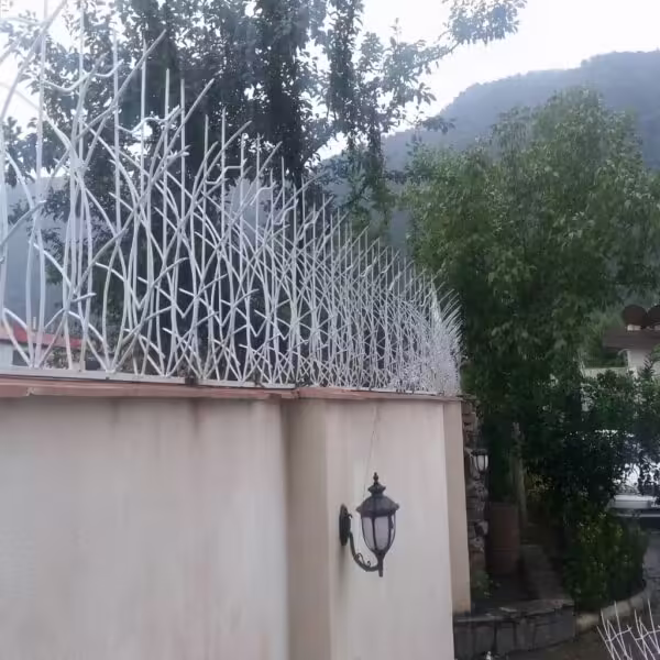 خرید حفاظ نیزار تهران