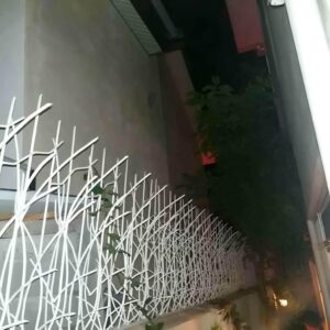 طراحی شاخ گوزنی برای ساختمان‌های تجاری