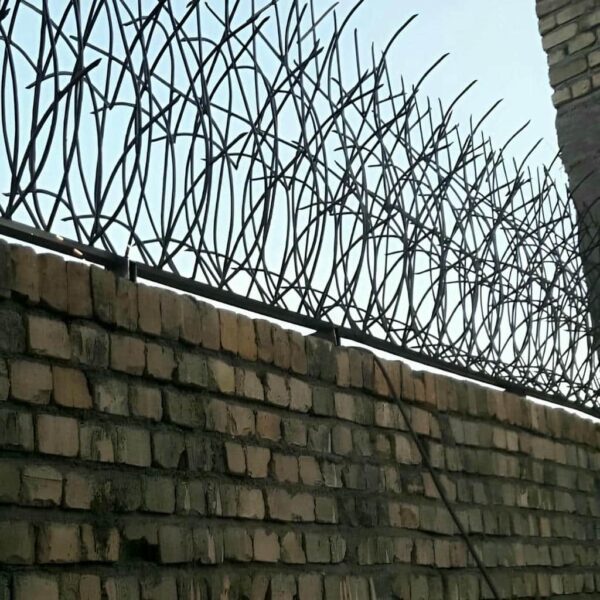 حفاظ شاخ گوزنی طراحی زیبا و امنیت بالا
