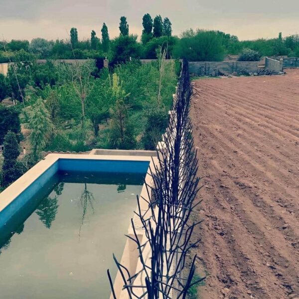 نصب حفاظ شاخ گوزنی بر روی دیوار
