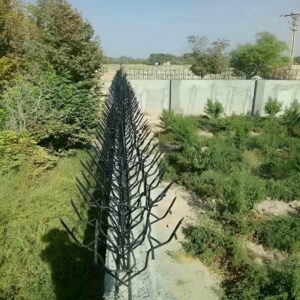 حفاظ شاخ گوزنی نصب شده روی دیوار