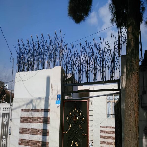 خرید حفاظ غنچه ای تهران