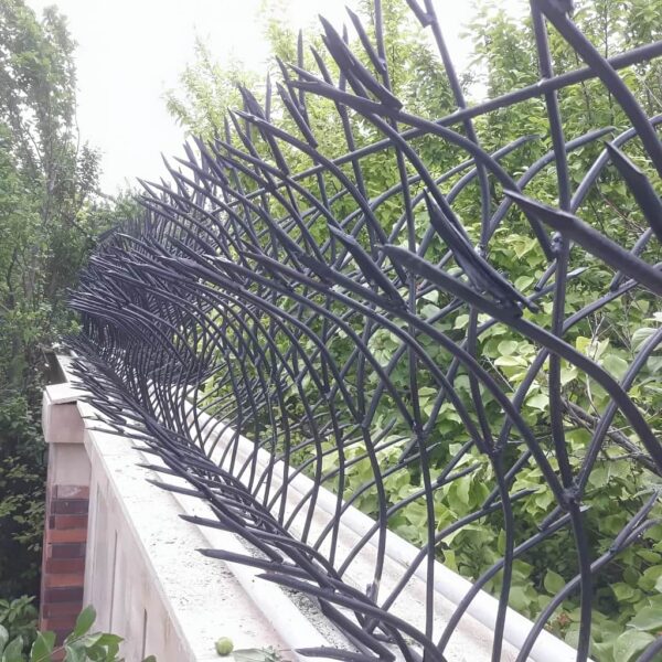 مدل‌های جدید حفاظ غنچه ای