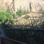 قیمت حفاظ شاخ گوزنی ارزان