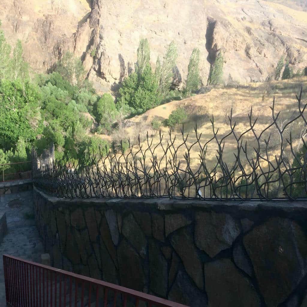 قیمت حفاظ شاخ گوزنی ارزان