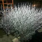 خرید و سفارش حفاظ شاخ گوزنی ارزان