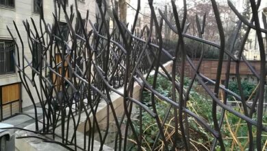 حفاظ شاخ گوزنی در مشهد