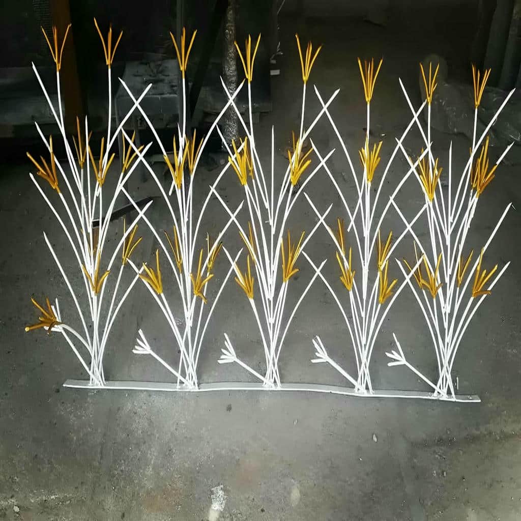 حفاظ شاخ گوزنی در قشم