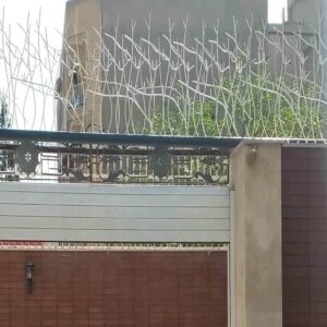 حفاظ شاخ گوزنی در هشتگرد