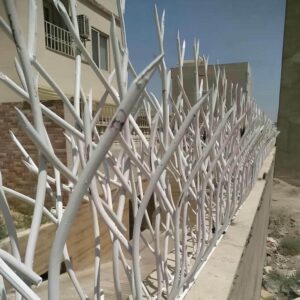 حفاظ شاخ گوزنی در اصفهان