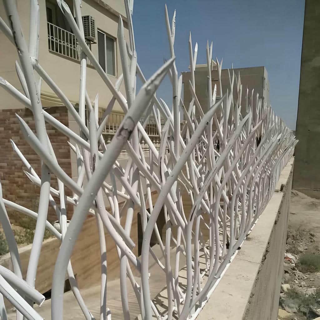 حفاظ شاخ گوزنی در اصفهان
