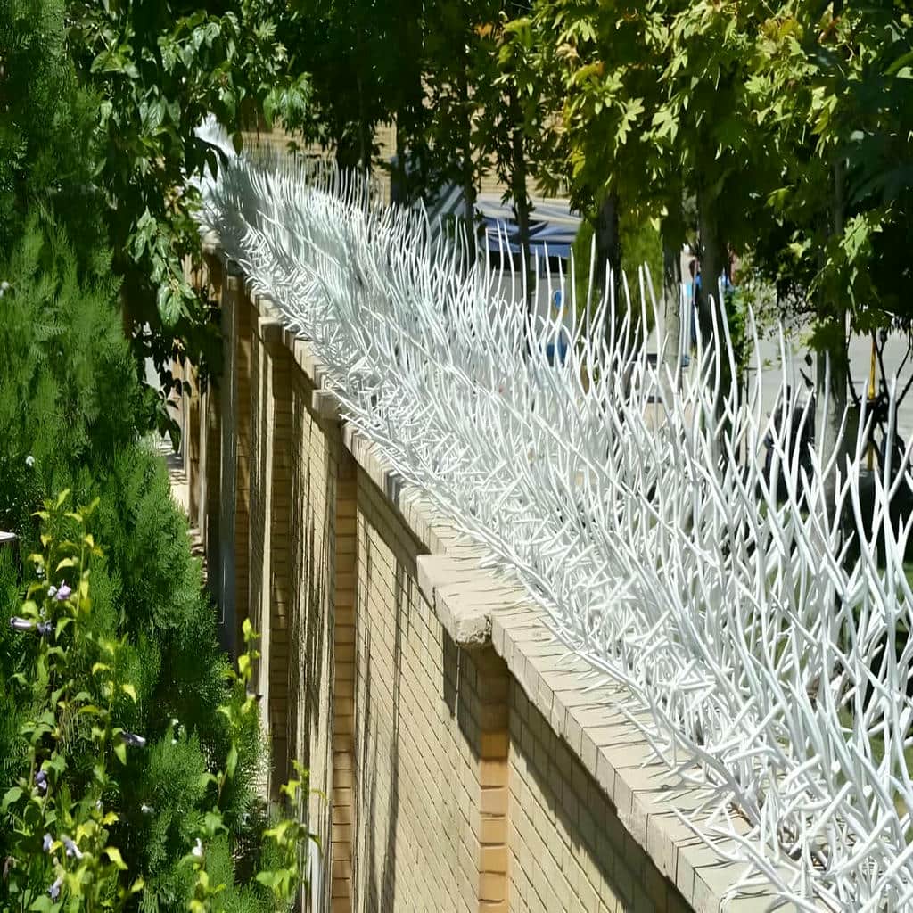 قیمت حفاظ شاخ گوزنی کاربری مسکونی در کمال شهر