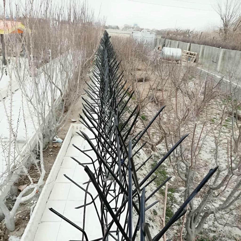 کارخانه حفاظ شاخ گوزنی کاربری ساختمان در قائمشهر